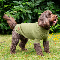 Ancol - SnugFit Cable Knit Jumper, Green