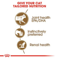 Royal Canin - Ageing Cat +12 In Gravy, 85G Pouch