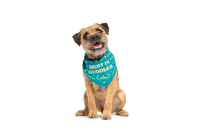 BARK - Crufts Winner's Bandana