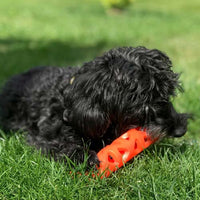 Chuckit - Breathe Right Stick - Large