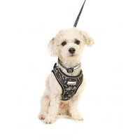 Doodlebone - Snappy Harness, Neon Paint Splat