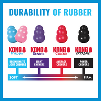 Kong - Puppy Goodie Bone With Rope - XSml