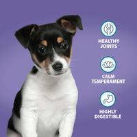 Burns - Puppy Mini, Chicken & Rice
