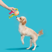 BARK - AHI TINA Fish Dog Toy
