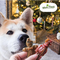 Miro & Makauri - Ginger & Dasher