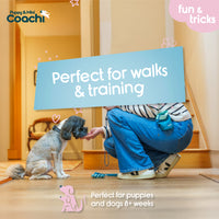 Company of Animals - Coachi Puppy & Mini Dog Training Treat Pouch - Teal & Mint