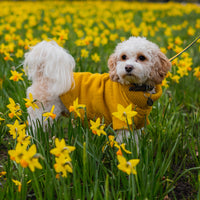 Ancol - Mustard Cable Knit Jumper