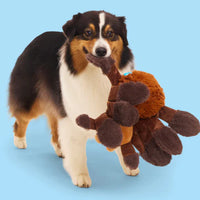 BARK - Wizarding World Of Harry Potter Dog Toy - Aragog