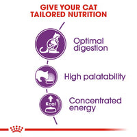 Royal Canin - Sensible Cat 33 Kibble