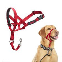 Company Of Animals - Halti Head Collar - Red