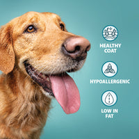 Burns - Toy/Sml Breed Adult Dog Food, Chicken & Rice