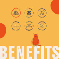 Doodlebone - Cat Harness & Lead, Tangerine/Reef