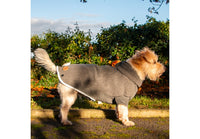 Ancol - SnugFit Polar Fleece, Grey