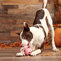 BARK - 2 In 1 Hambone, Plush & Rubber Dog Toy