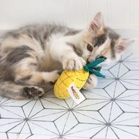 Mad Cat - Purrfect Pineapple