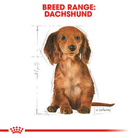 Royal Canin - Dachshund Junior Food - 1.5kg