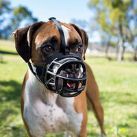 Company of Animals - Baskerville Ultra Dog Muzzle - Size 1