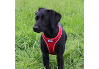 Ancol - Viva Comfort Dog Harness