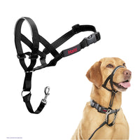 Company Of Animals - Halti Head Collar - Black