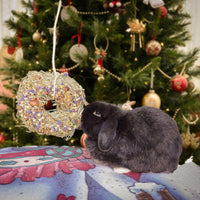 Rosewood - Naturals Winter Wreath For Small Animals