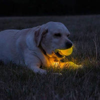 Ancol - Rechargaeble LED Ball, Yellow