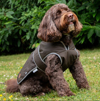 Ancol - Heritage Wax Cotton Coat, Green