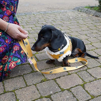 Cath Kidston - Printed Dog Lead, Busy Bees
