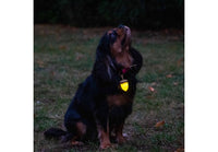Ancol - Rechargeable Acorn Blinker