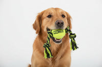 Dog & Co - Mega Ball With Rope - 1.8"