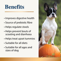 Karnlea - Pumpkin Powder for Dogs - 200g