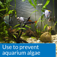 API - Prevent Algae