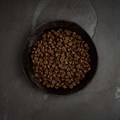 Canagan - Small Breed Dog, Free-Run Chicken