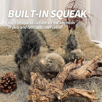 All For Paws - Squirrel with Squeaker Dog Toy - 18cm