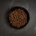 Canagan - FreeRun Chicken For Puppies & Adults Dogs