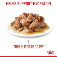 Royal Canin - Cat Digestive Care Pouch in Gravy, 85g