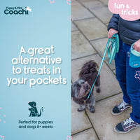 Company of Animals - Coachi Puppy & Mini Dog Training Treat Pouch - Teal & Mint