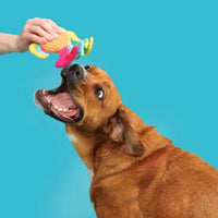 BARK - AHI TINA Fish Dog Toy
