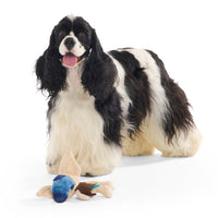 BARK - Harry Potter Crinkle & Squeak Dog Toy, Dobby