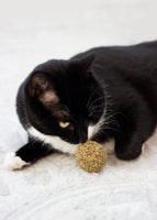 Cat Naturals Bola de hierba gatera
