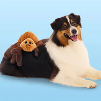 BARK - Wizarding World Of Harry Potter Dog Toy - Aragog