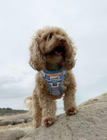 Doodlebone - Adjustable Airmesh Harness, Stripes