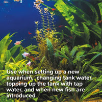 King British - De-Chlorinator - 100ml