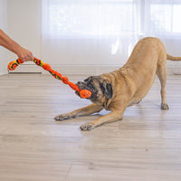 Kong - Knots Snake Assorted - Md/Lg