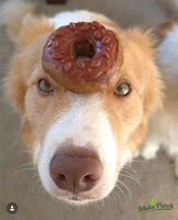 Miro Makauri - Maks'Patch Doggy Donut