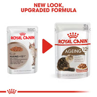 Royal Canin - Ageing Cat +12 In Gravy, 85G Pouch