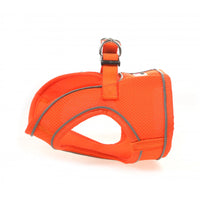 Doodlebone - Snappy Harness, Tangerine