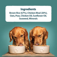 Burns - Original Adult Dog, Chicken & Brown Rice