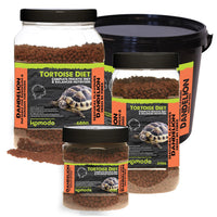 Komodo - Tortoise Diet, Dandelion