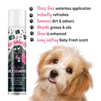 Bugalugs - Baby Fresh Dry Dog Shampoo