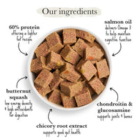 Forthglade - Complete Senior Wet Dog Food, Grain Free Turkey Butternut Squash & Veg - 395g